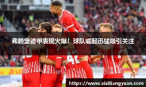 77体育官网