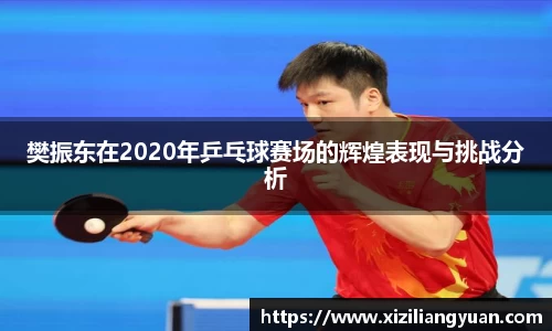 樊振东在2020年乒乓球赛场的辉煌表现与挑战分析