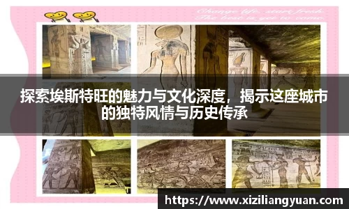 77体育
