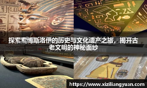 77体育在线直播官网
