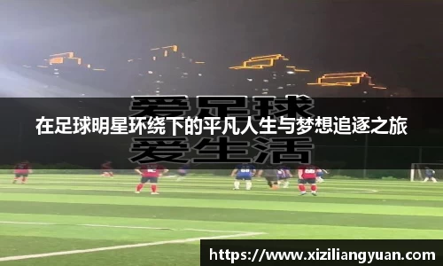 77体育官网