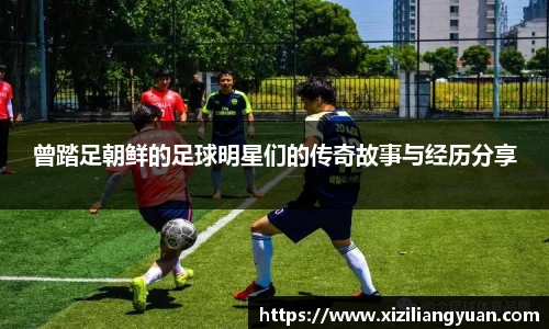 77体育在线直播官网